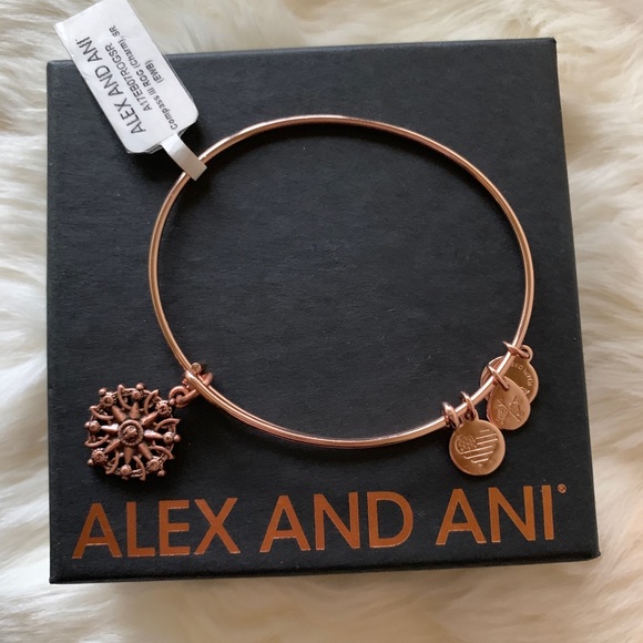 Alex and Ani Jewelry Nwt Alex And Ani Compass Charm Bangle Bracelet